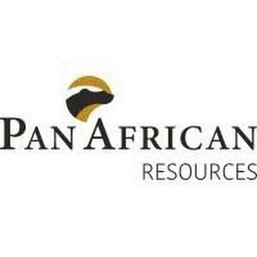 Pan African Mining Corp. logo