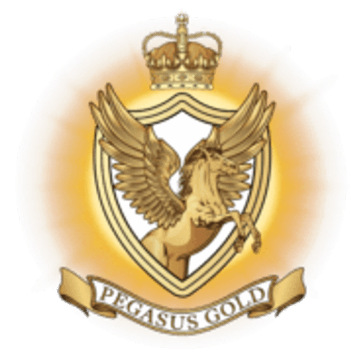 Pegasus Gold Inc. logo