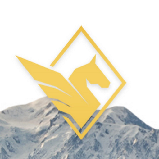 Pegasus Resources logo