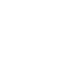 Phoenix Digital Assets PLC logo