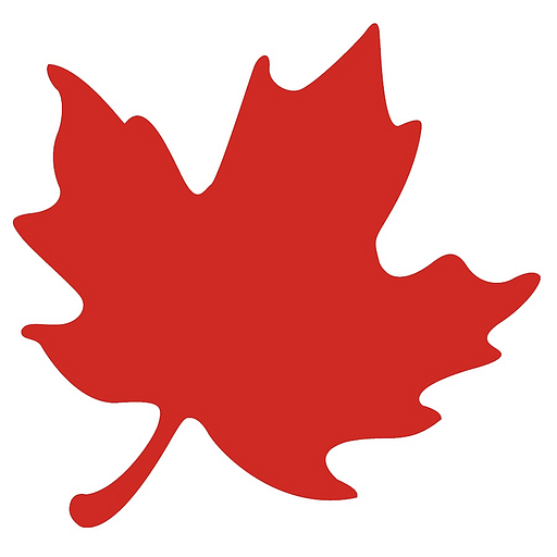 Precision Assessment Technology Corporation logo