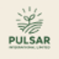 Pulsar International Limited logo