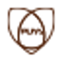 Puya Semiconductor (Shanghai) Co., Ltd. logo