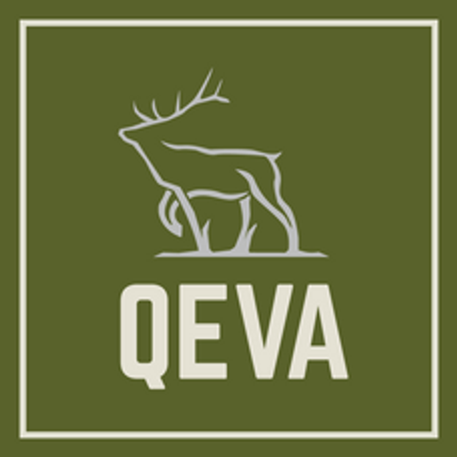Qeva Group Inc. logo