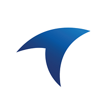 RAMINFO LIMITED logo
