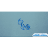 RIBOMIC Inc. logo