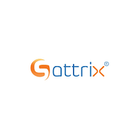 SATTRIX INFORMATION SECURITY LIMITED logo