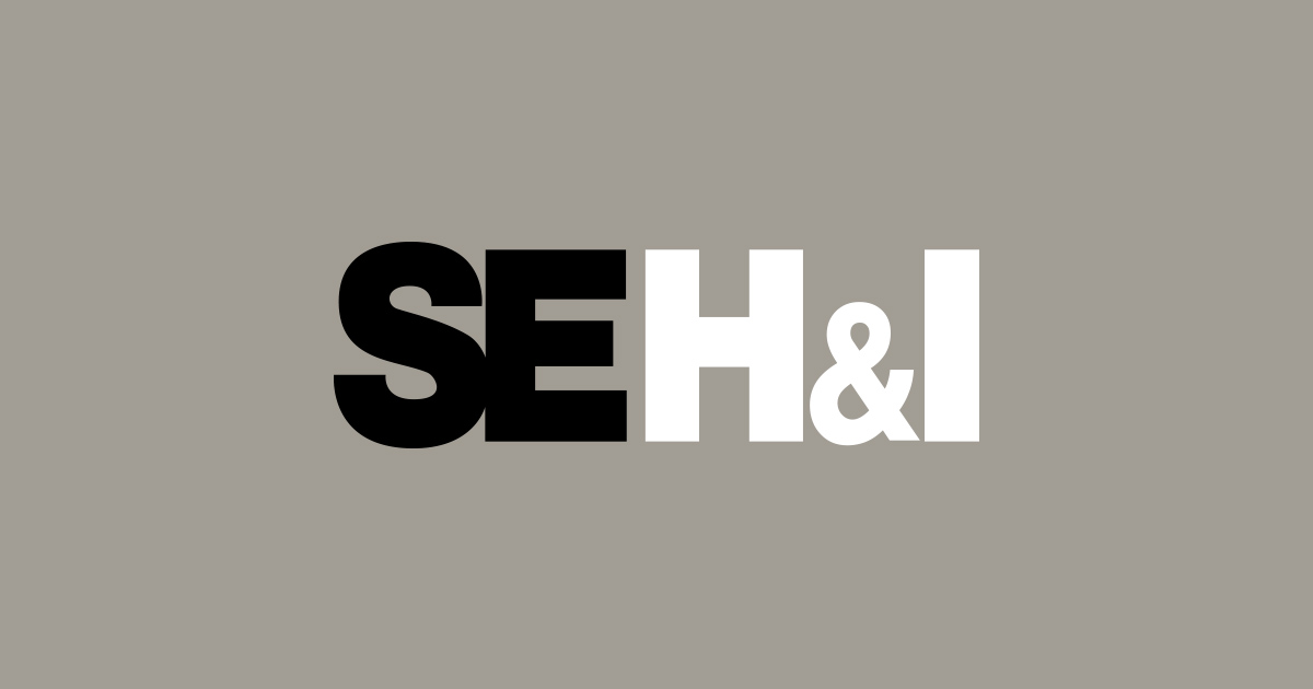 SE Holdings and Incubations Co., Ltd. Logo