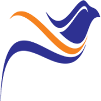 SHEKHAWATI INDUSTRIES LIMITED logo