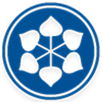 SHRIRAM PISTONS & RINGS LTD logo