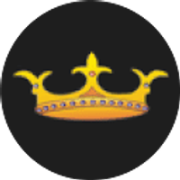 SOMI CONVEYOR BELTINGS LIMITED logo