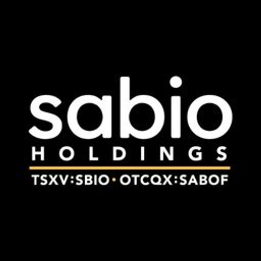 Sabio Holdings logo