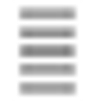 Sanathnagar Enterprises Limited logo