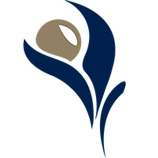 Sarama Resources Ltd. logo