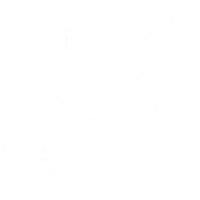 Scarnose International Limited logo