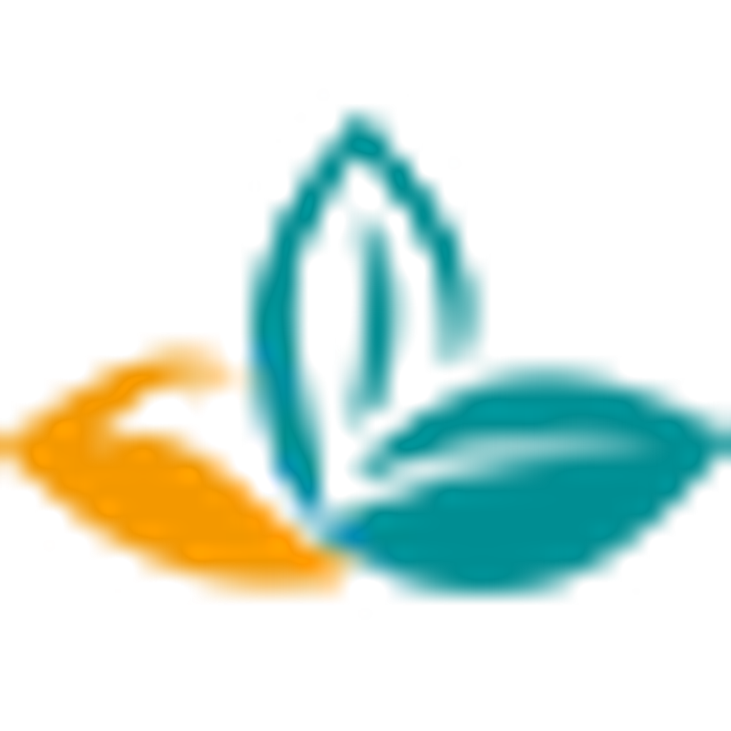 Scholar Education Group logo