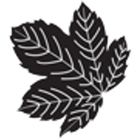 Seasons Textiles Ltd logo