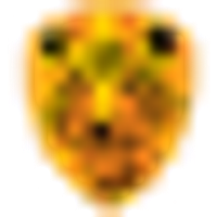 Shera Energy Limited logo