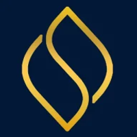 Shree Salasar Investment Ltd. logo
