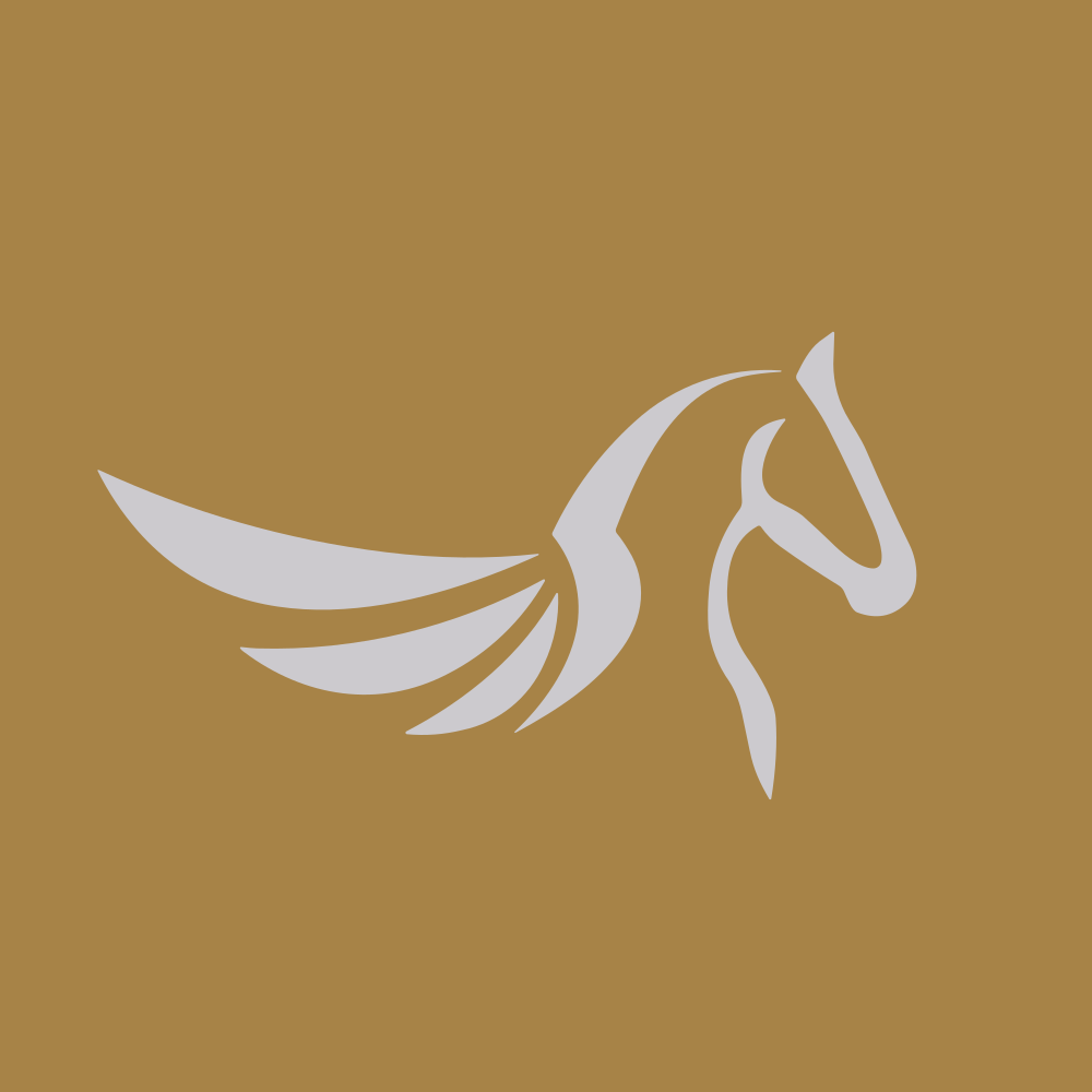 Silver Pegasus Acquisition Corp. Logo