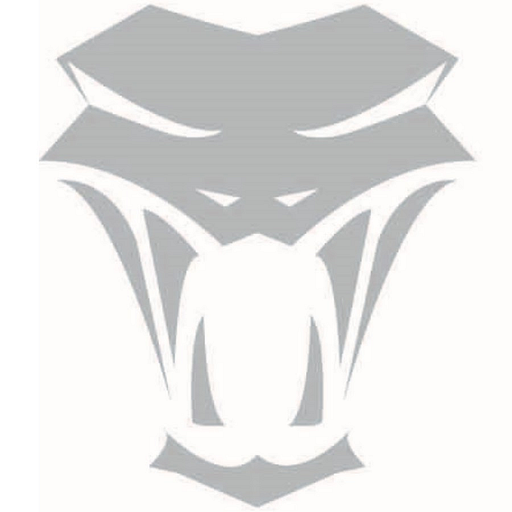 Silver Viper Minerals Corp. logo