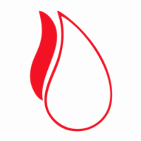 Solvex Edibles Limited logo