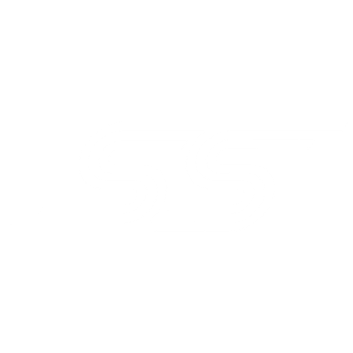 Standard Strategies Inc. logo