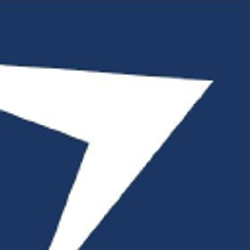 Steadright Critical Minerals Inc. logo
