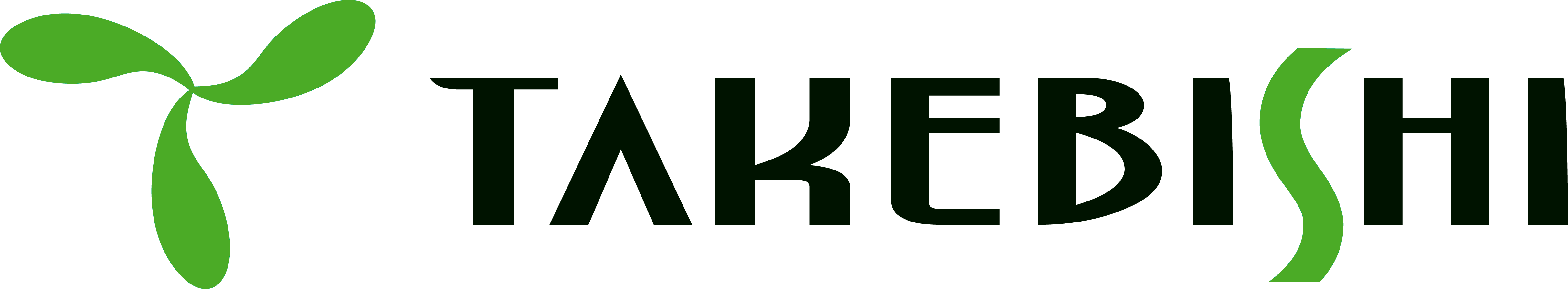 TAKEBISHI CORPORATION Logo