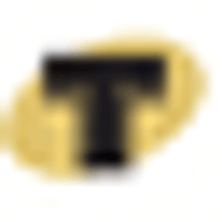 TRIUMPHAL ASSOCIATES BHD logo