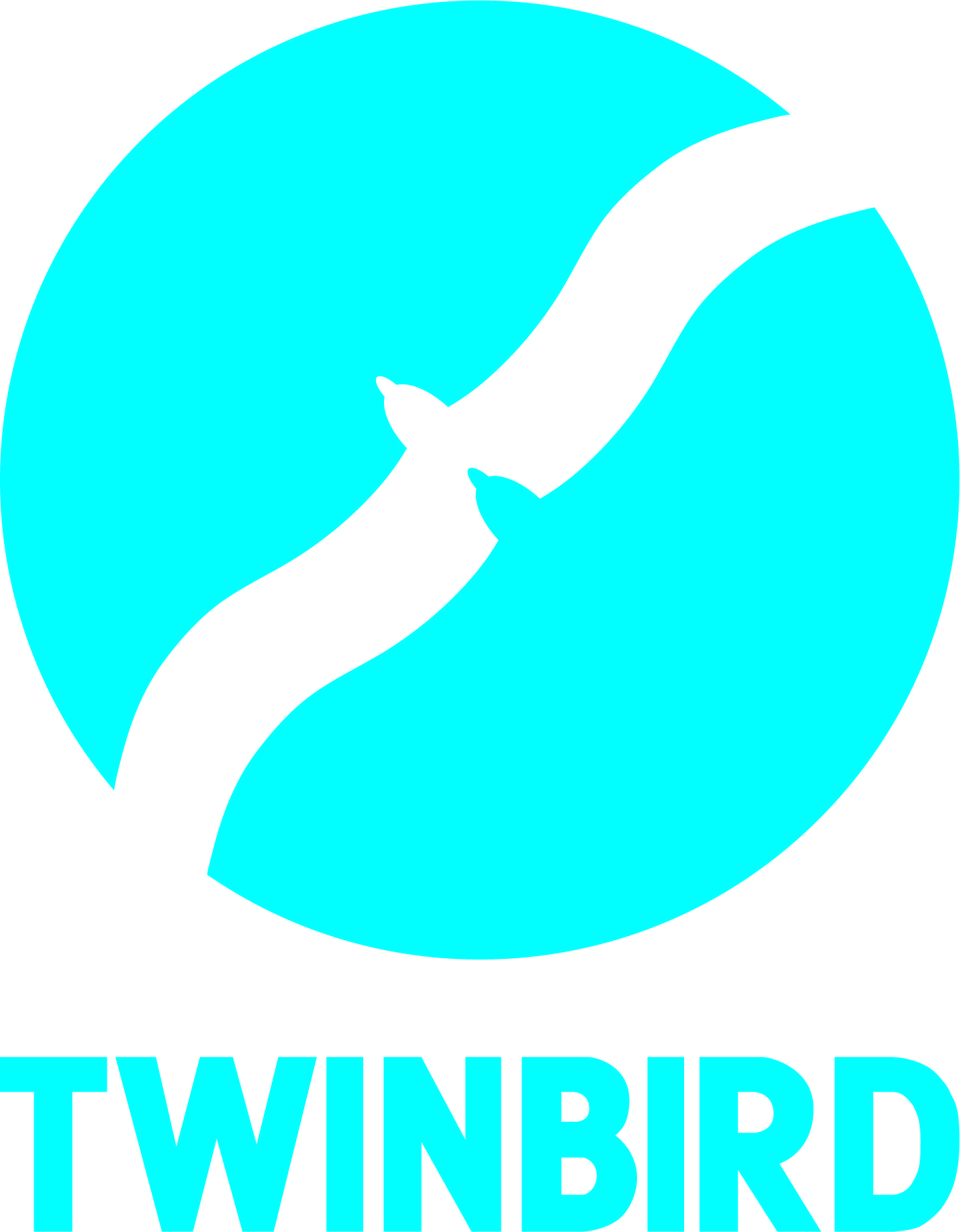 TWIN-BIRD CORPORATION Logo