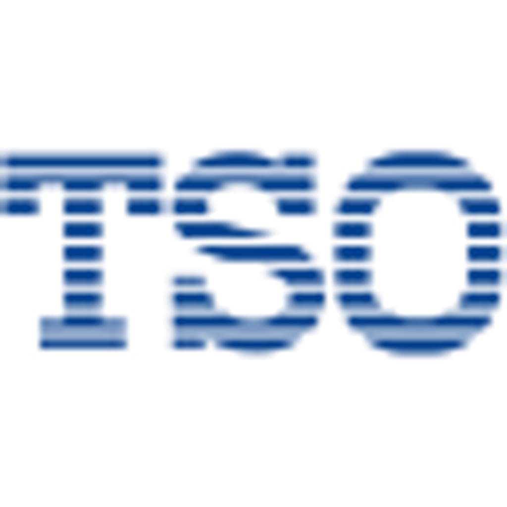 Telecom Service One Holdings Limited logo
