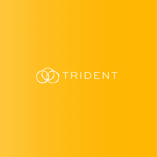 Trident Resources Corp. logo