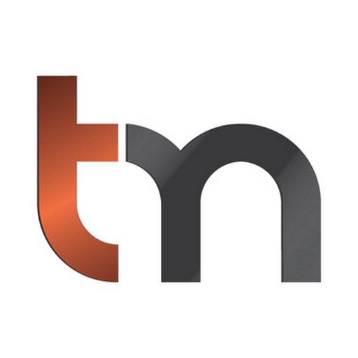 Trigon Metals Inc. logo