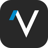VIVO SPA logo