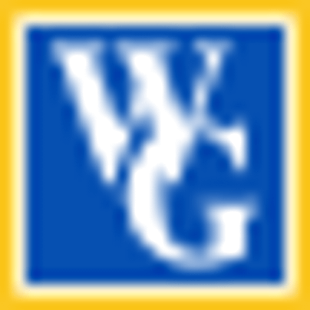 VSING Limited logo