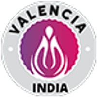 Valencia India Limited logo