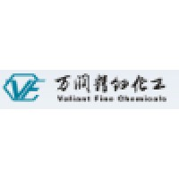 Valiant Co.,Ltd logo