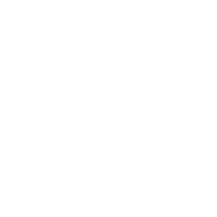 Vertis Infrastructure Trust logo