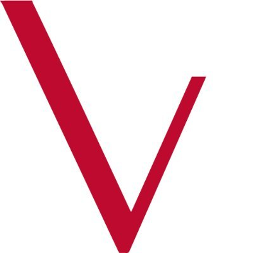 Visionary Metals Corp. logo