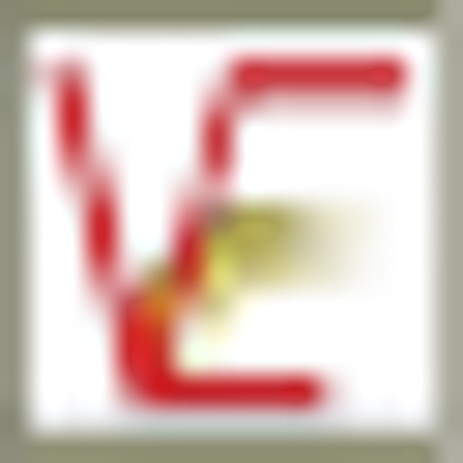 Vital Energy Inc. logo