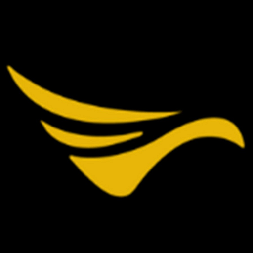 Volatus Aerospace Inc. logo