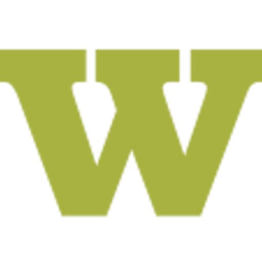 WellPoint Systems Inc. logo