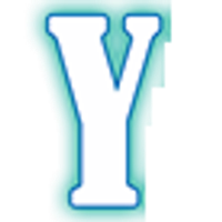 Yash Chemex Limited logo