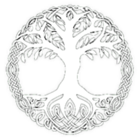 Yggdrasil SPAC 2 AG logo