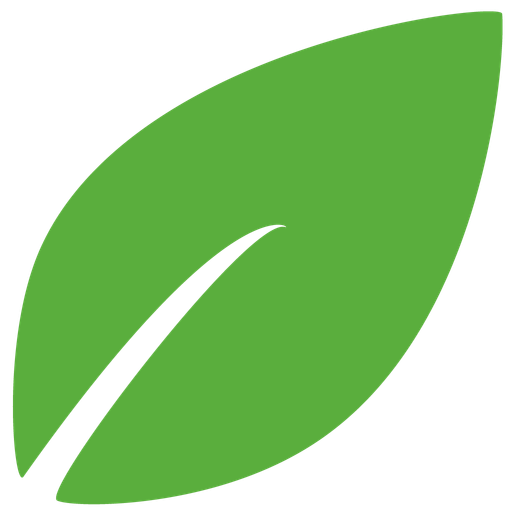 e-Phoria Online Systems Inc. logo